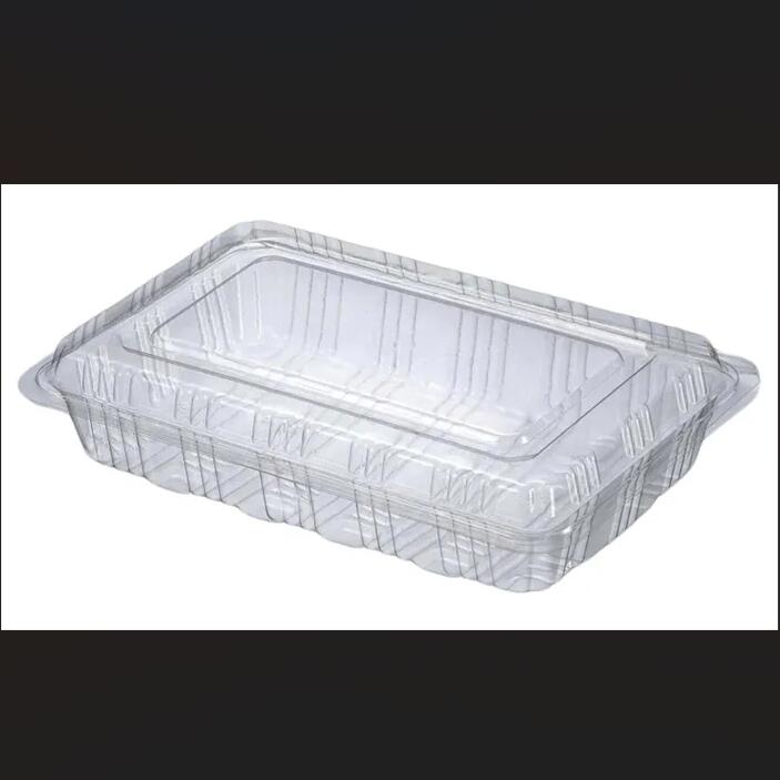 Sushi Container 4 rolls - Clear 100x20P
