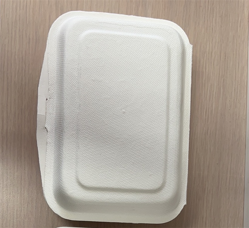 Sugarcane Clamshell Box -  7.5in/600ml - White 250s