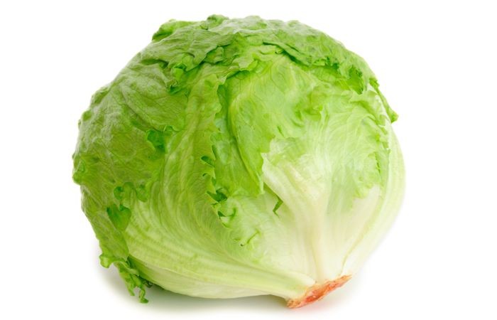 VG-Lettuce - Iceberg Box 12 Per Box