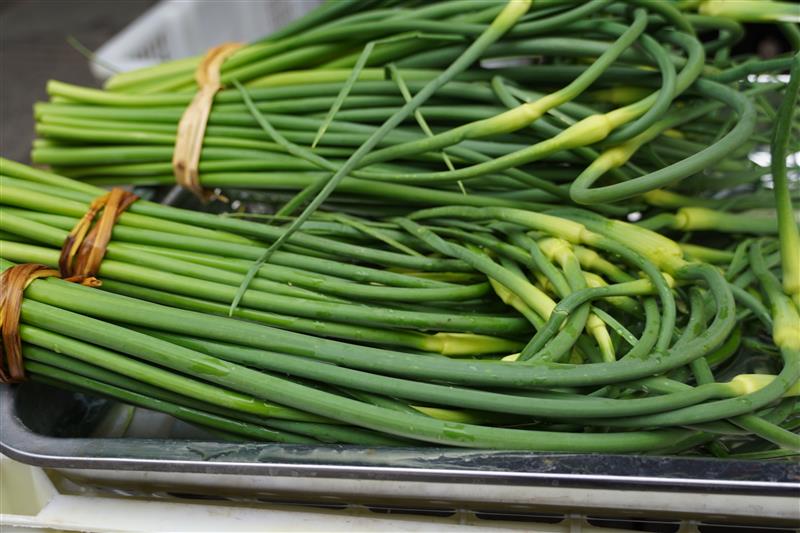 VG-	Garlic sprouts