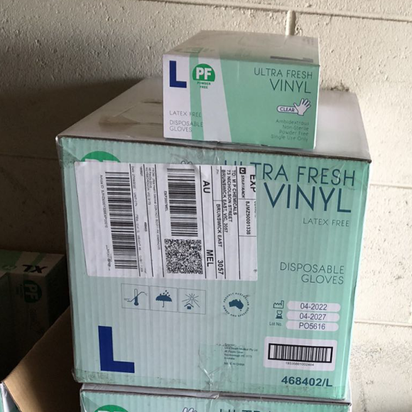 Vinyl Clear - Ultra Fresh Large - Powder Free 100sx10P