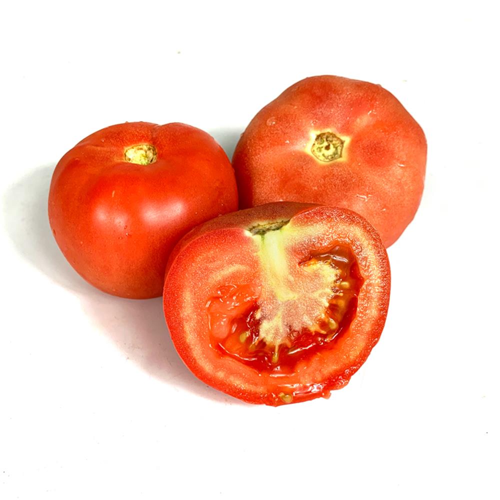 VG- LARGE Tomatoes Box -10kg/ctn
