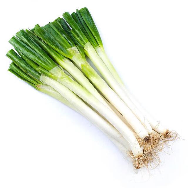 VG-	Leeks Box-3bag/box