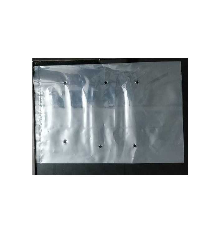 L0918SP PUNCHED LDPE BAG 46X23CM (2.5Kg) 100s x 20p