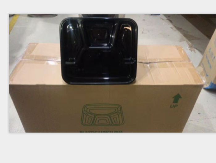 Square Container 4 Compartment with Lid - Plastic 595x231x415mm - Black n Clear 150s