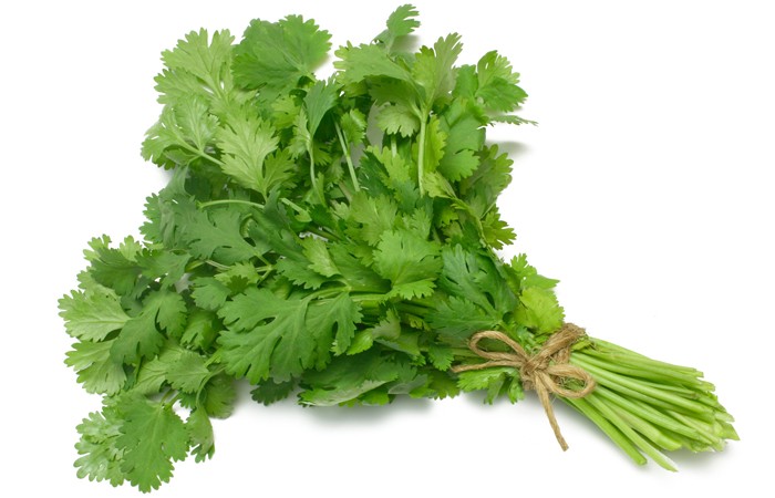 VG-Long Coriander-Small Bunch
